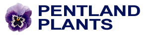 Pentland Plants